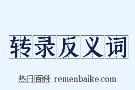 转录反义词是什么意思的图片